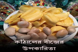 Jackfruit Seeds For Health News