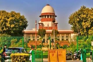 SC stays National Green Tribunal direction naming LG as chairperson of the high-level committee on Yamuna pollution.