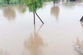 rajasthan flooded