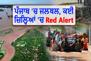 Due to heavy rain in Punjab, red alert has been issued to many districts