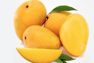 Woman dies after eating mango in Indore
