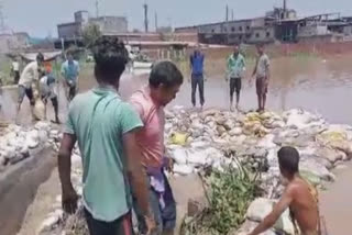 Water rage in Budhe river at Ludhiana