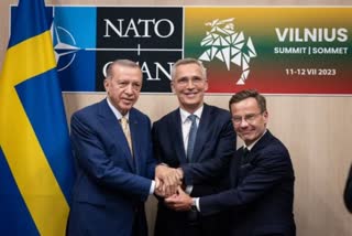 Turkey's Erdogan agrees to back Swedish NATO bid  says NATO secretary general