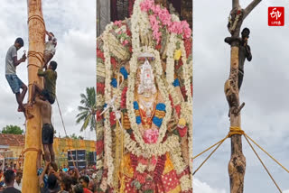 கோயில் உற்சவ விழாவில் 60 அடி உயர கழுமரம் ஏறும் போட்டி