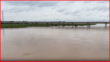 PUNJAB FLOOD