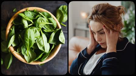 Basil Leaves For Health