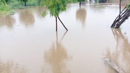 Rajasthan Monsoon Update : પાલી જળબંબાકાર, કેદીઓને બોટ મારફતે કોર્ટમાં લઈ જવાયા