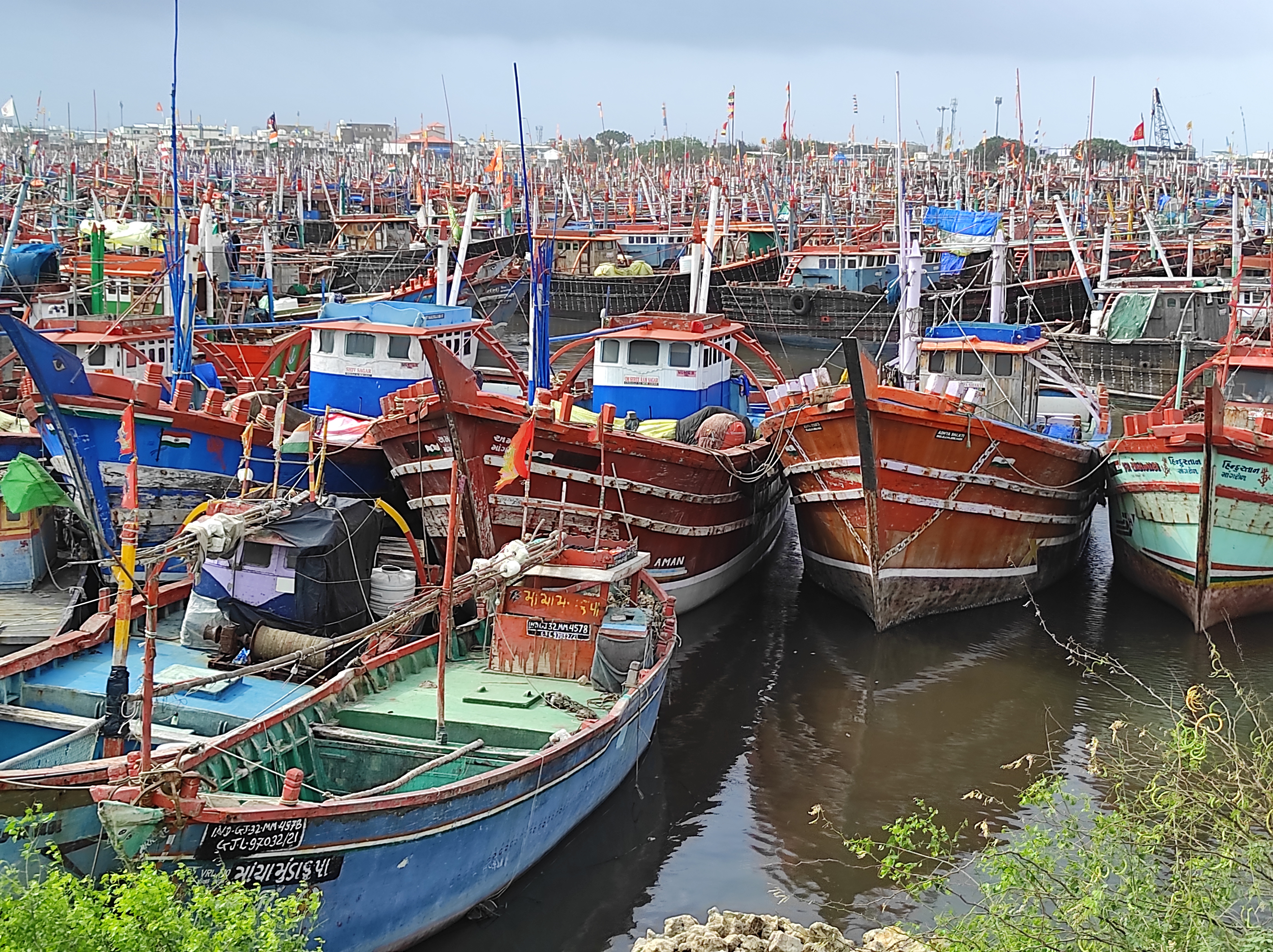 માછલીઓની નિકાસમાં ગુજરાત પ્રથમ નિકાસ થતા ક્ષેત્રોમાં ફિશરીઝ ઉધોગ દસમા ક્રમે