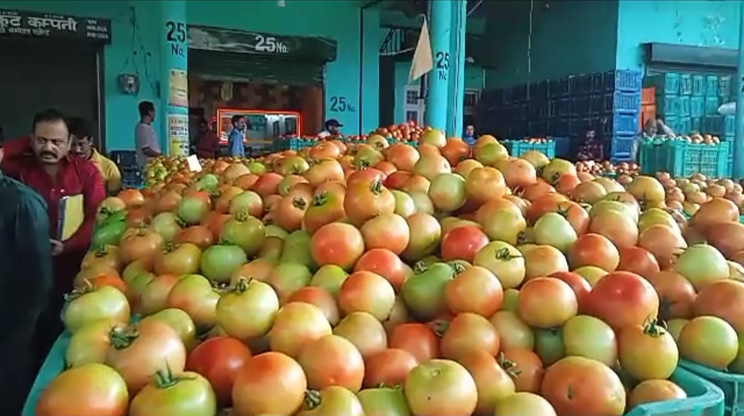 today tomato rate in himachal pradesh