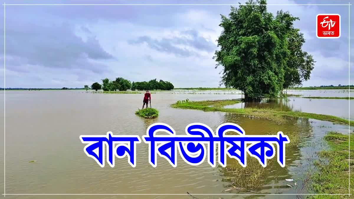 Kaziranga Flood