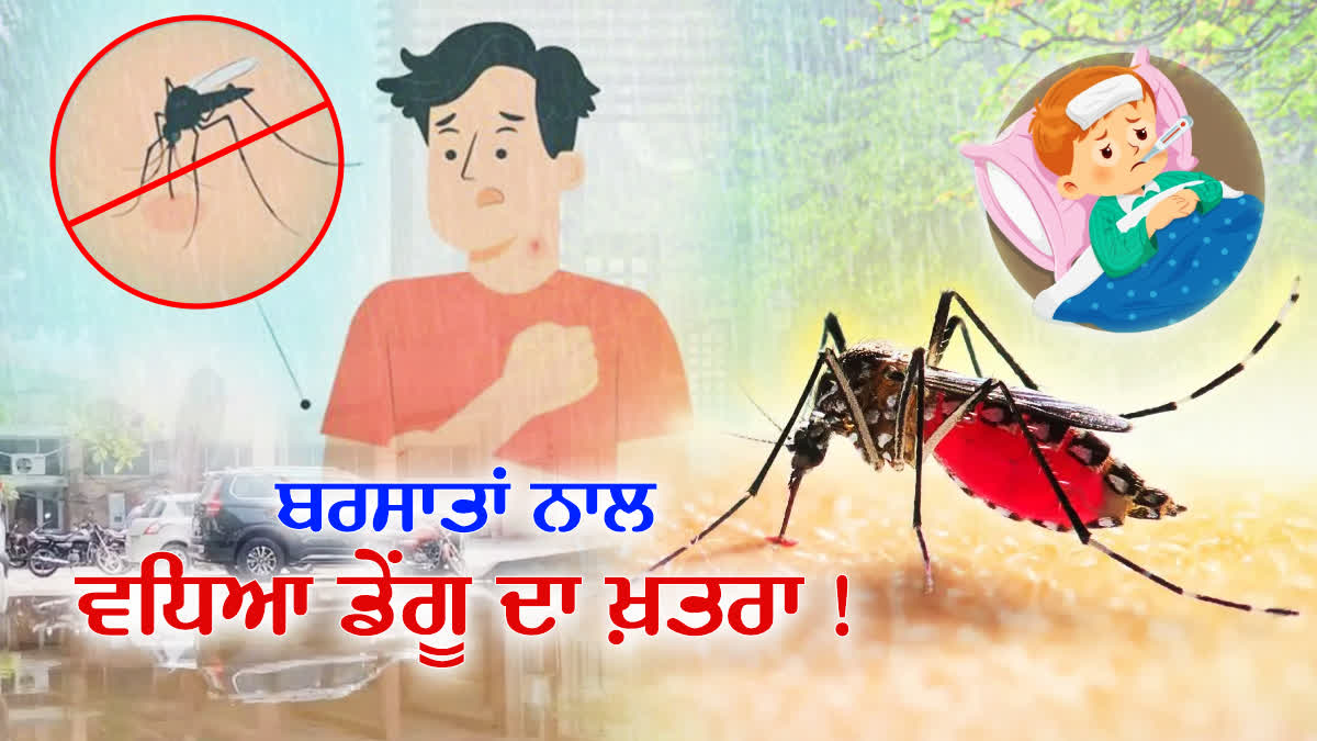 Dengue Symptoms Cause