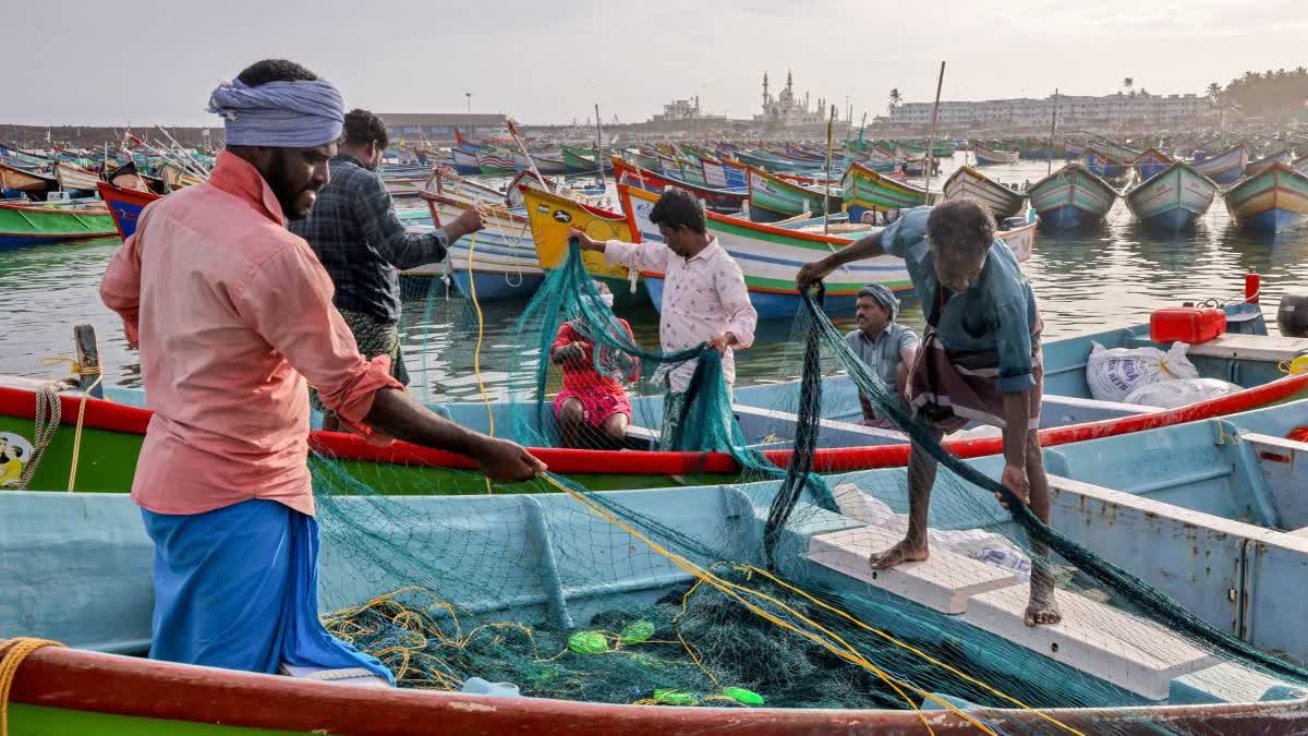 ശ്രീലങ്കൻ നാവികസേന  ഇന്ത്യൻ മത്സ്യത്തൊഴിലാളികൾ  INDIAN FISHERMEN ARERSTED  TAMIL NADU FISHERMEN ARRESTS