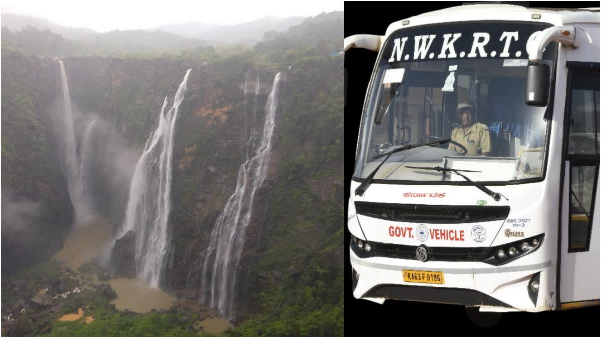 bus for jog falls