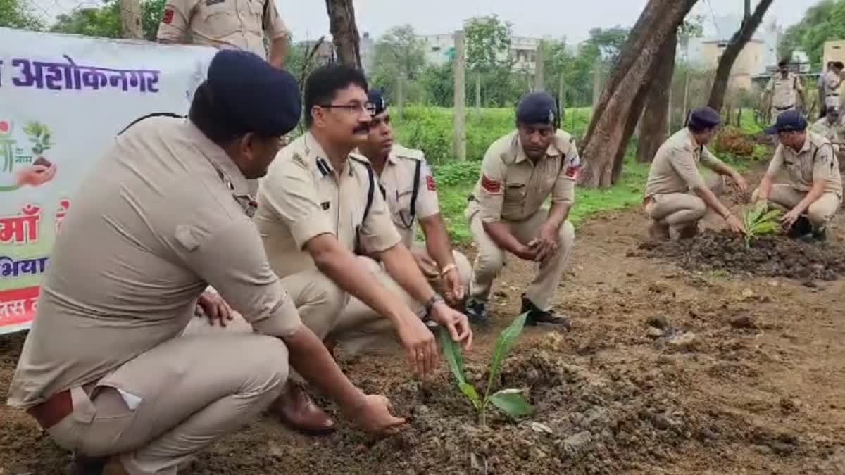 MP police plantation festival