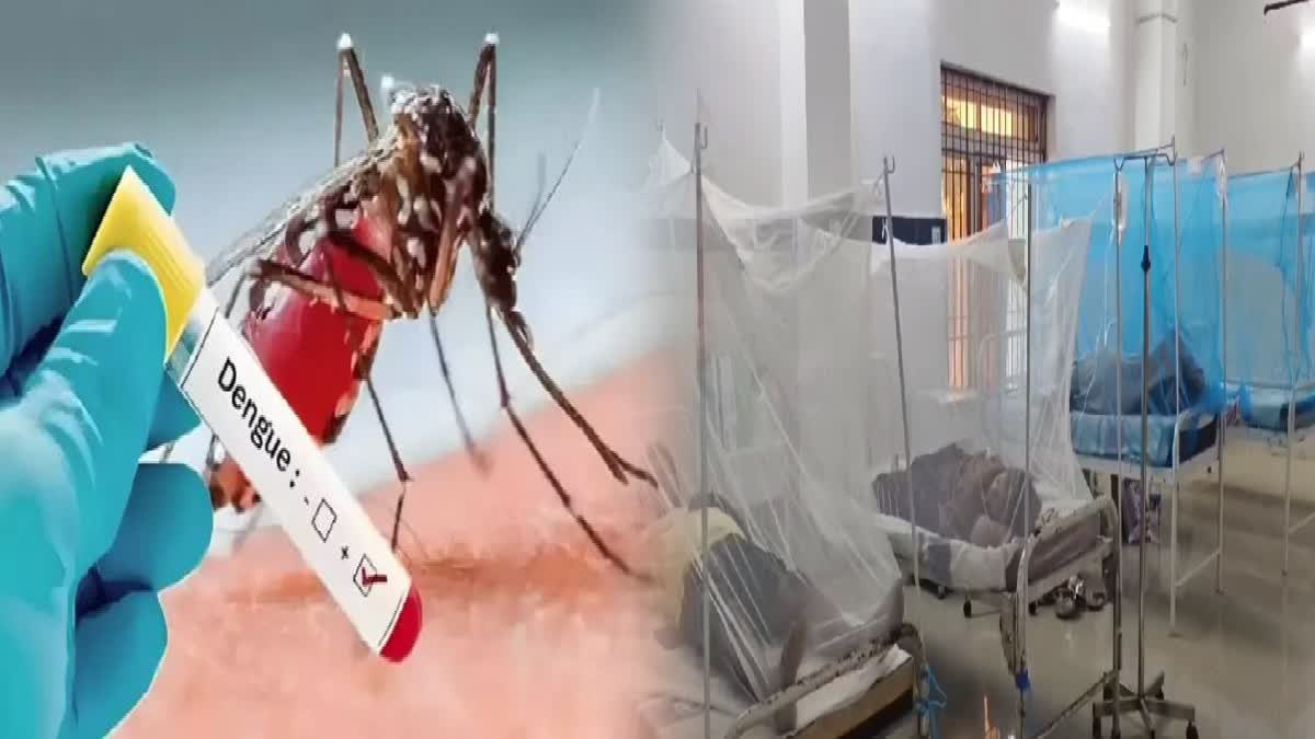 Dengue Outbreak