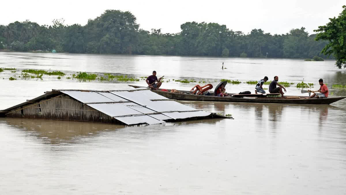 FLOOD IN ASSAM