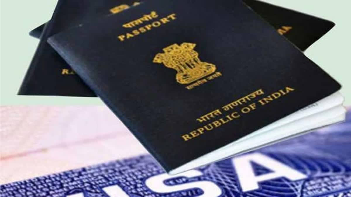 The issuance of Look Out Circulars (LOCs) against agents, who fled abroad or remain untraceable after committing VISA or Passport fraud, has significantly increased this year, a senior police officer of IGI Airport, Delhi, said on Thursday.
