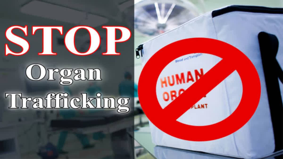 Take Steps For Prevention And Control Of Organ Trafficking:Centre Tells ...