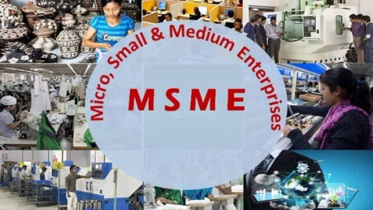 India’s micro small and medium companies have high expectations from Finance Minister Nirmala Sitharaman in this year’s budget. India’s MSME sector accounts for nearly 30 per cent of the country’s GDP and is considered the second biggest employer after the farming sector.
