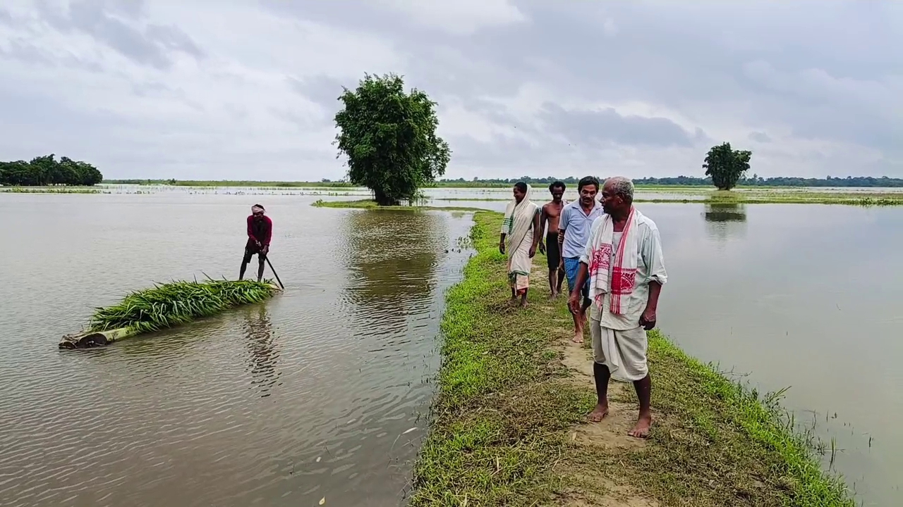 Kaziranga Flood