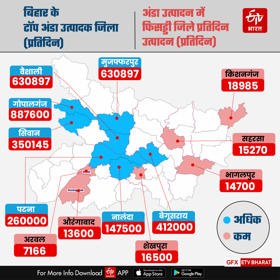 ETV Bharat