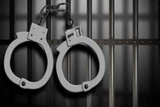 Two members of the armed group Arambai Tenggol have been arrested and firearms seized from their possession in Manipur's Imphal West district.