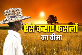 Mp crop insurance all details fasal ka beema