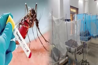 Dengue Outbreak