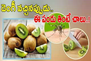 Health Benefits Of Kiwi