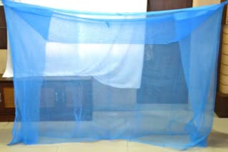 Mosquito Net