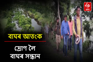 Tiger terror at Majuli, forest department personals aware the prople to protect themselves
