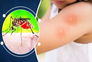 NEW DENGUE CASES