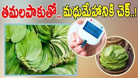 Health Benefits Of Eating Betel Leaves