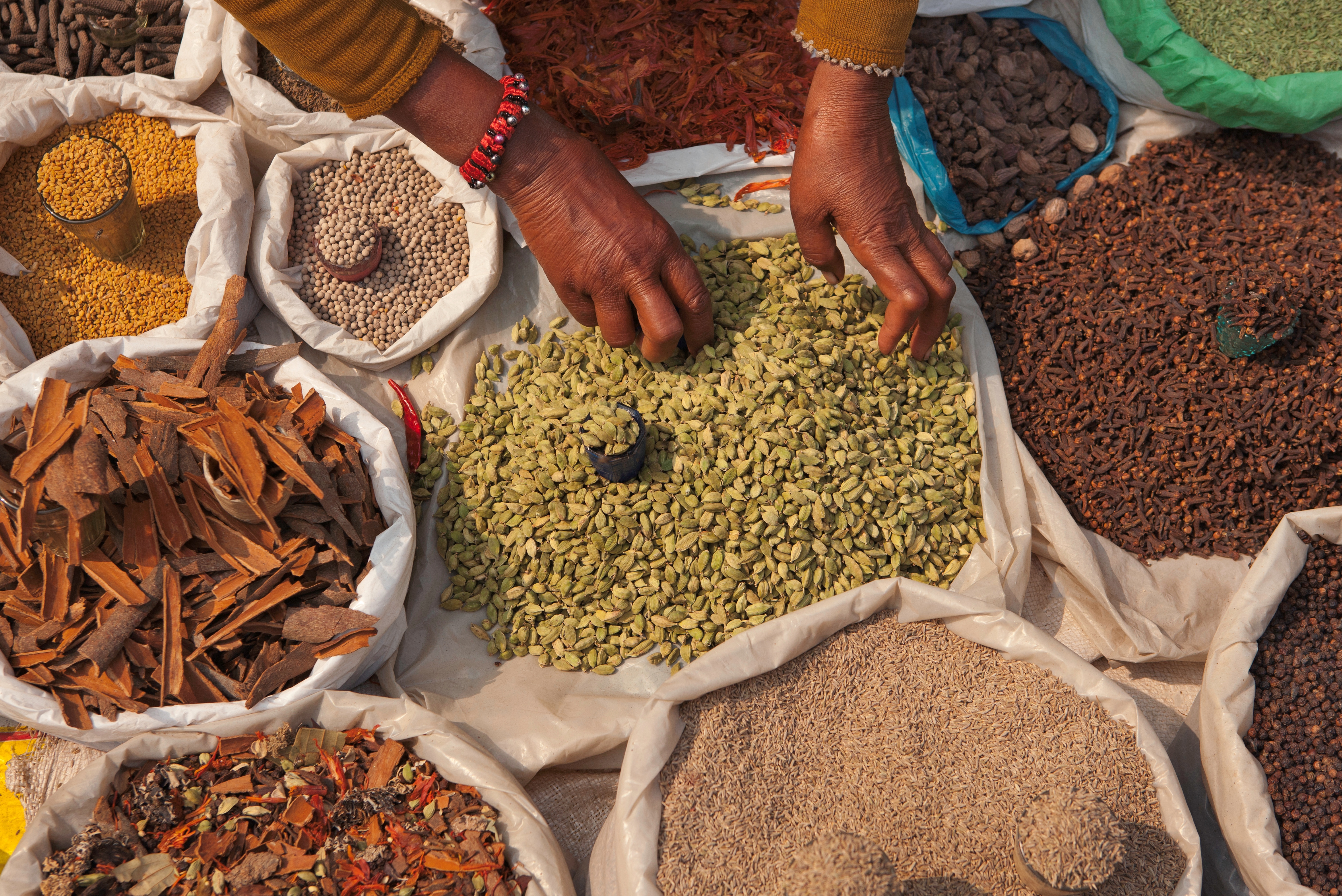 Spices