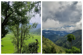 UTTARAKHAND METEOROLOGICAL CENTER