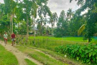 A Zero Crime Tribal Village in Assams Nagaon