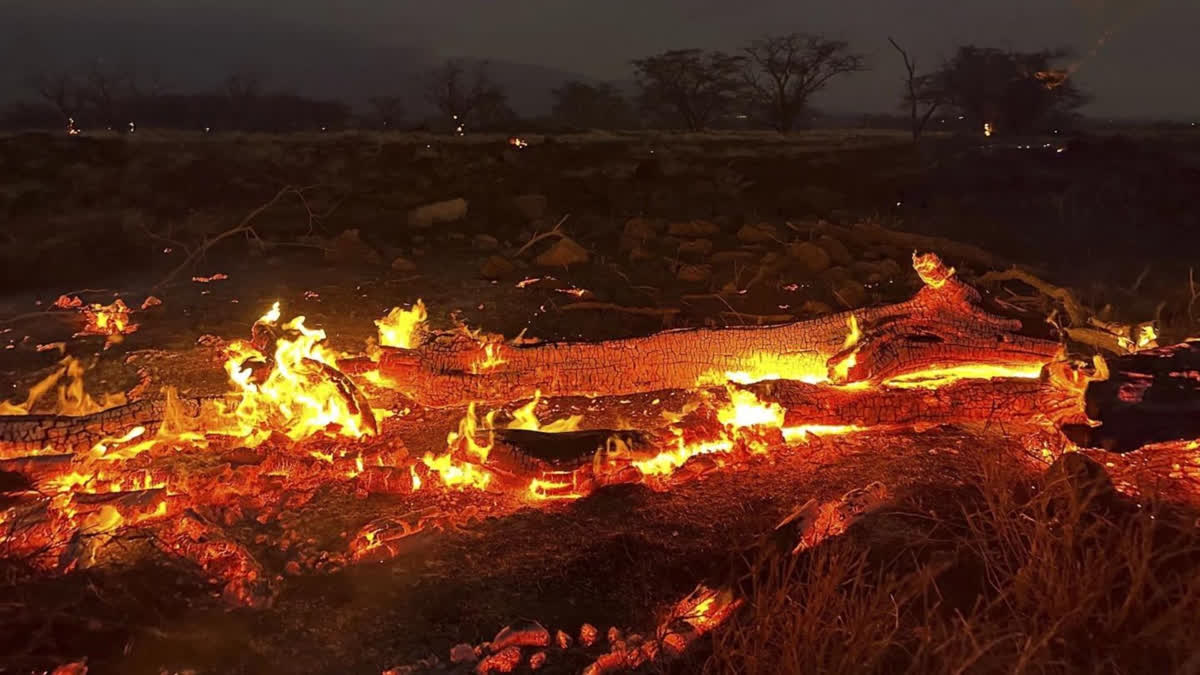 US: Devastating wildfire at Hawaii's Maui; many lives lost, property destroyed