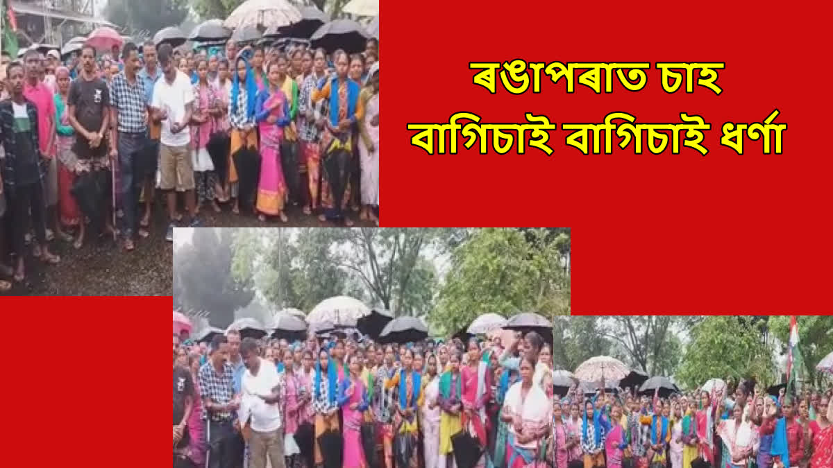 Assam Chah Mazdoor Sangha