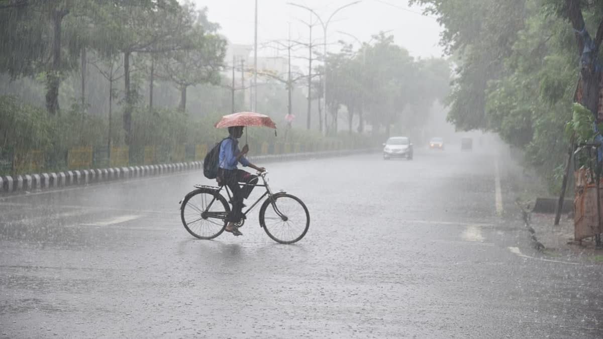 Gujarat Rain Update : વરસાદનો ચોથો રાઉન્ડ શરૂ થવાની આગાહી કરતો હવામાન વિભાગ