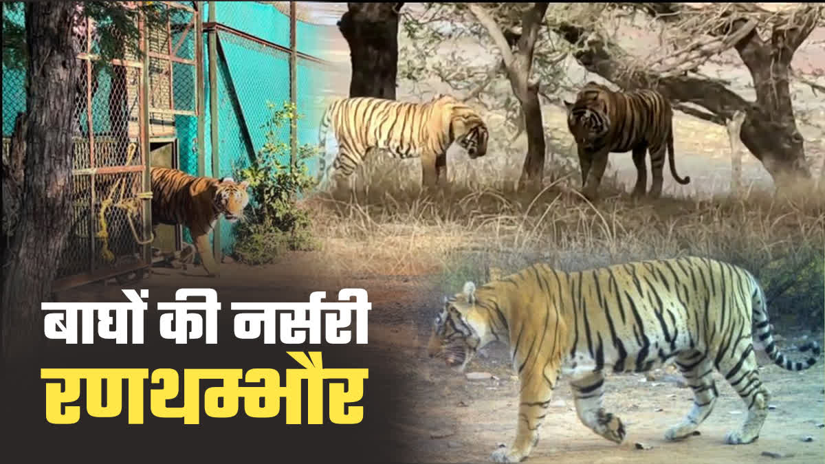 Ranthambore Tiger Reserve