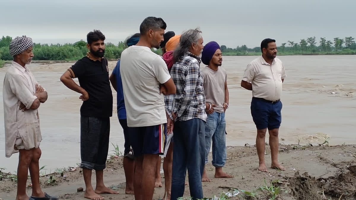 Rain in the mountains and increased water level in Bhakra Dam