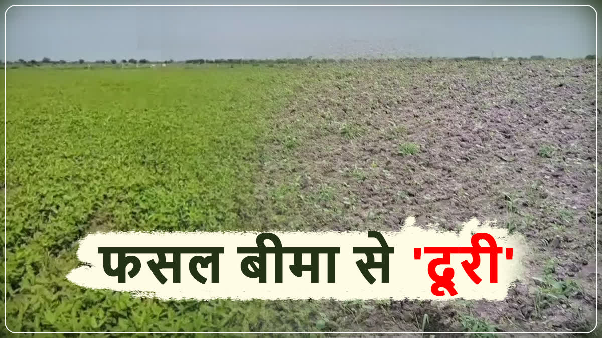 Kota Farmers not Insuring Crop