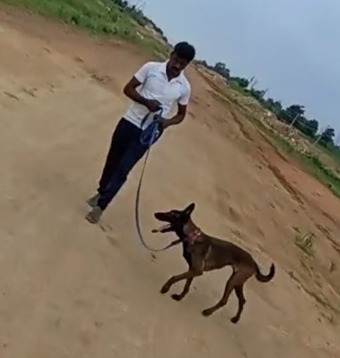 Karnataka police dog Tara