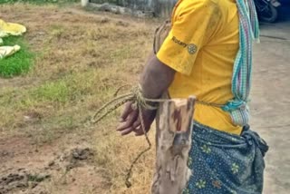 The owner was tied  The owner was tied to a stake as his bulls  farmer beat to farmer  ಬೇರೆಯವರ ಹೊಲದಲ್ಲಿ ಮೇಯ್ದ ಎತ್ತುಗಳು  ಮನೆ ಮುಂದೆ ಮಾಲೀಕನನ್ನು ಕಟ್ಟಿ ಹಾಕಿದ ವ್ಯಕ್ತಿ  ತೆಲಂಗಾಣದಲ್ಲಿ ದಾರುಣ ಘಟನೆ  ಎತ್ತುಗಳು ಮೇಯ್ದಿದ್ದಾವೆ ಎಂದು ಆರೋಪ  ಪೊಲೀಸ್​ ಠಾಣೆಗೆ ದೂರು  ಅಟ್ರಾಸಿಟಿ ಪ್ರಕರಣ ದಾಖಲಿಸಿಕೊಂಡು ತನಿಖೆ