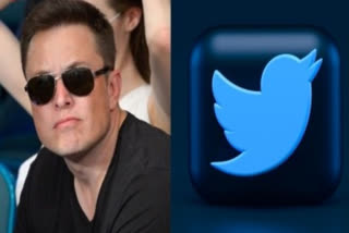 X owner Musk puts up Twitter signs, other items for auction