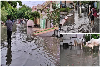 Drains_Problems_in_Palnadu