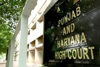 punjab haryana high court