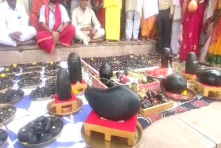 2100 shaligram worship in Pushkar on Parama Ekadashi 2023