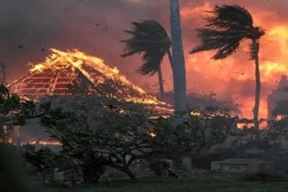 US Hawaii Wildfire death toll Rises to 53