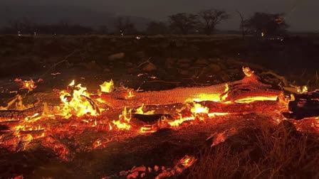 Hawaii wildfire death toll  america Hawaii wildfire  Hawaii  Hawaii wildfire  Hawaii fire  lahaina  lahaina wildfire  maui  maui fire  കാട്ടുതീ  wildfire  fire  ഹവായ് ദ്വീപ് കാട്ടുതീ  ഹവായ്  ഹവായ് കാട്ടുതീ  അമേരിക്ക മൗയി  മൗയി  മൗയി കാട്ടുതീ  ലഹൈന കാട്ടുതീ  ഹവായ് കാട്ടുതീ മരണം  ഹവായ് കാട്ടുതീ മരണസംഖ്യ